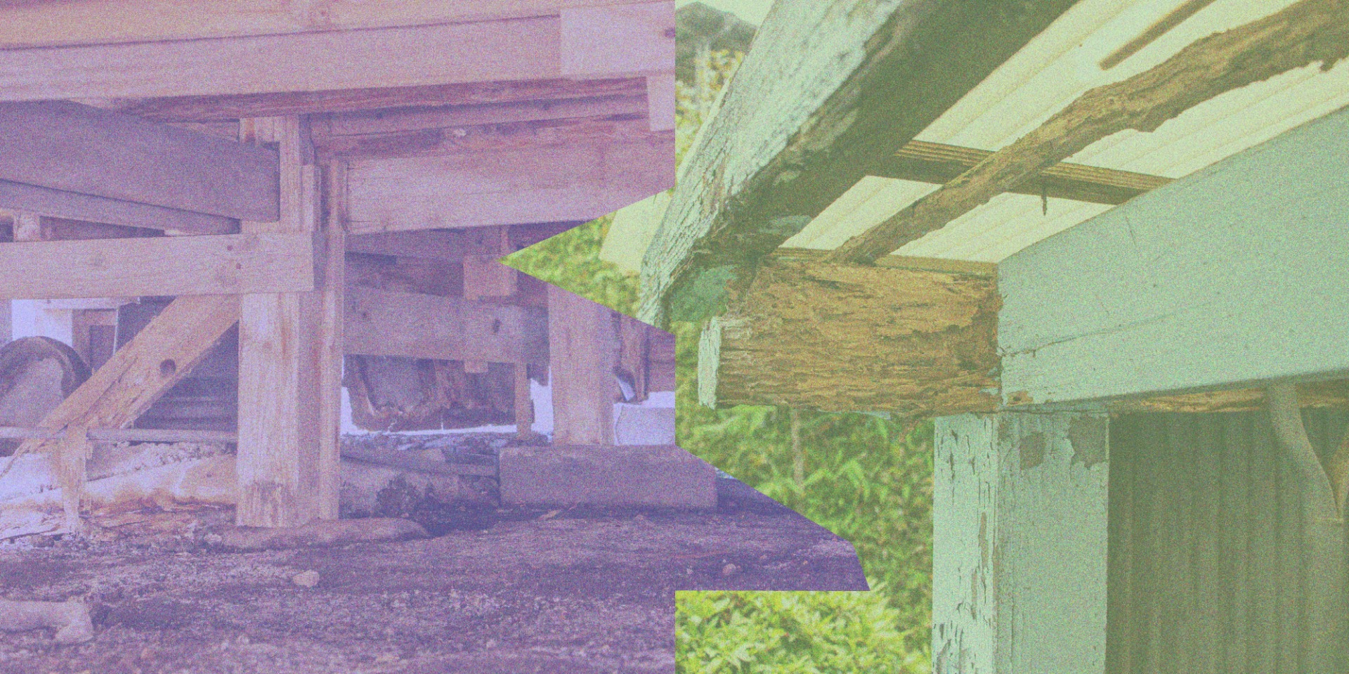 当店は東京都港区を中心に、シロアリ駆除、害虫駆除を行っております。嬉しい口コミ多数！まずは見積りから