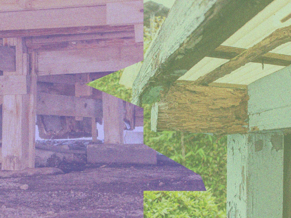 当店は東京都港区を中心に、シロアリ駆除、害虫駆除を行っております。嬉しい口コミ多数！まずは見積りから