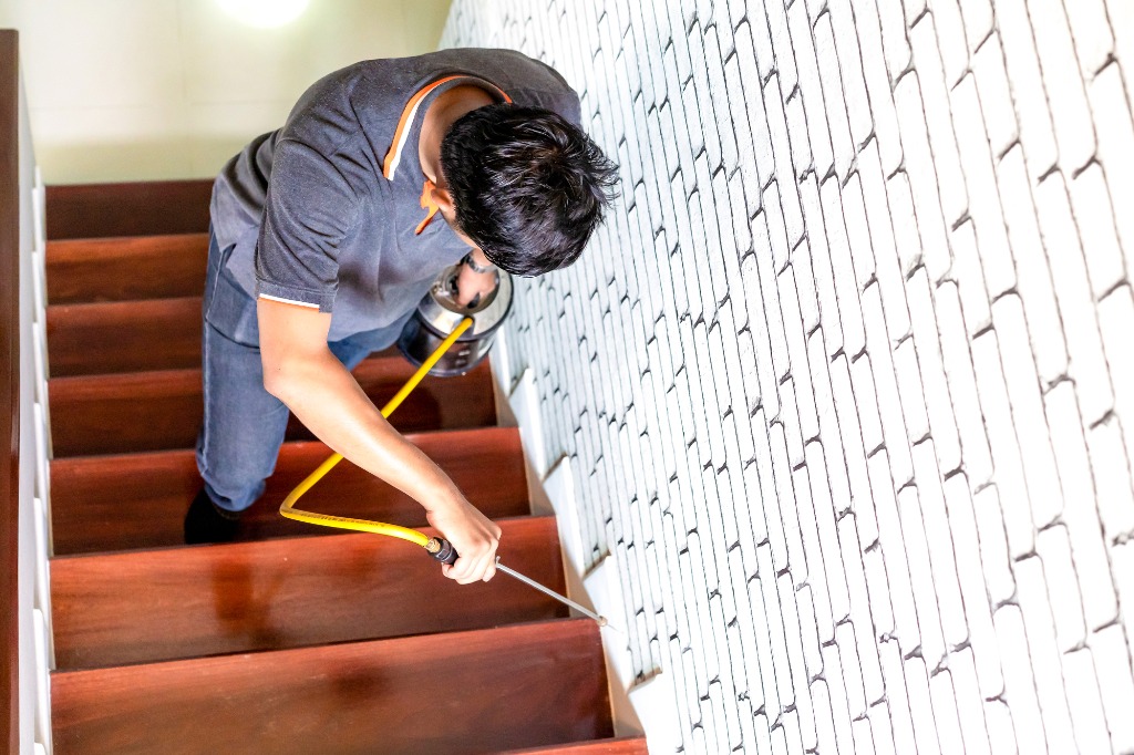 シロアリ歴30年以上の自信